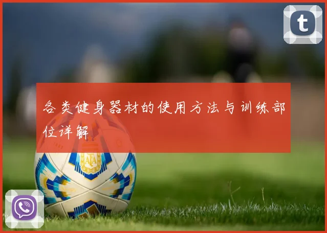 各类健身器材的使用方法与训练部位详解
